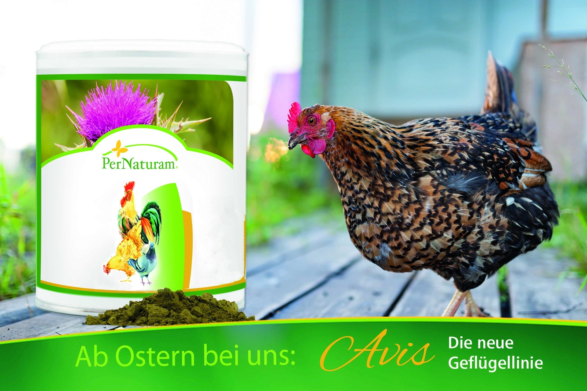 Neue Produkte zu Ostern