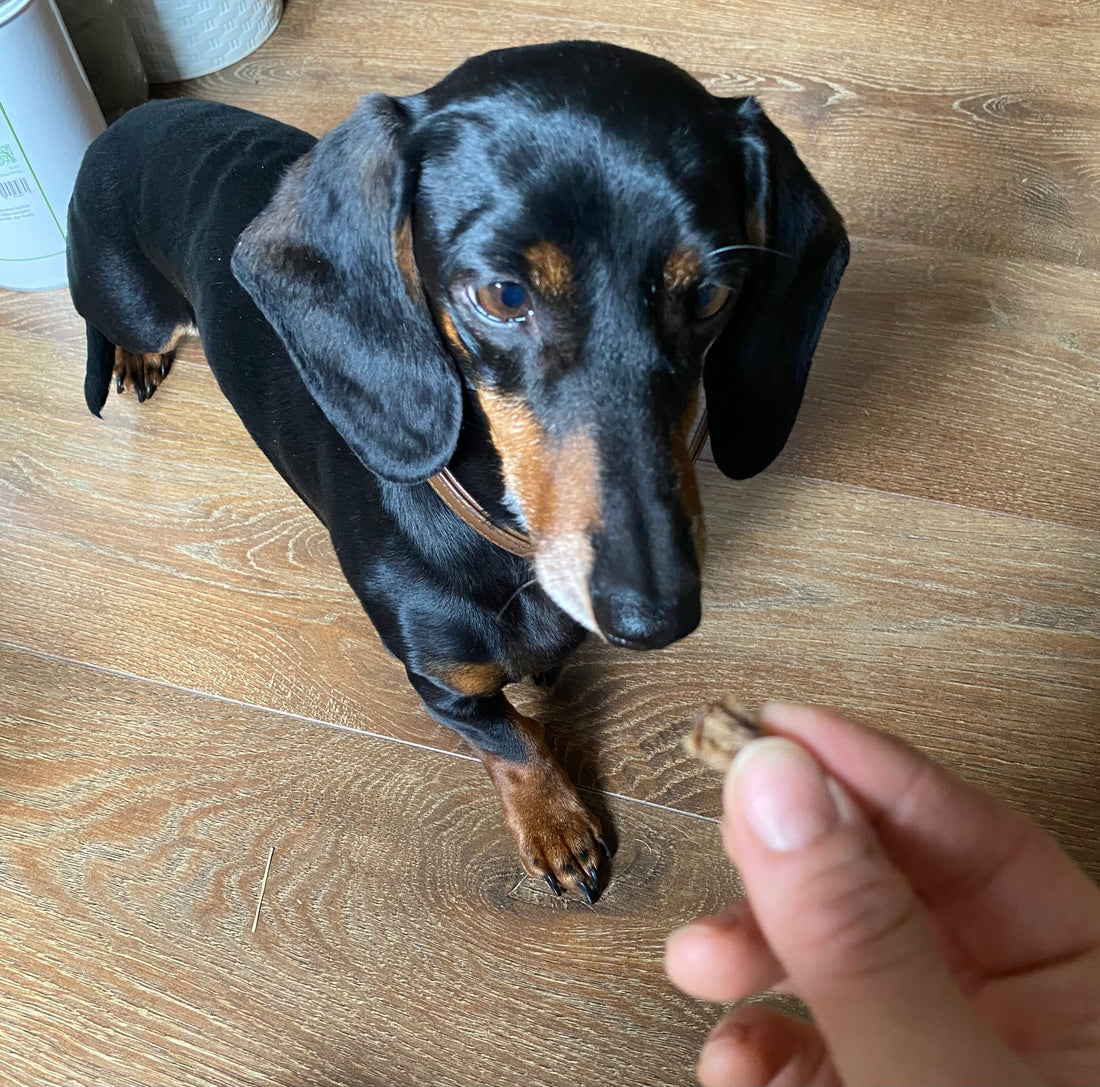Lunge vom Schaf (160 g)